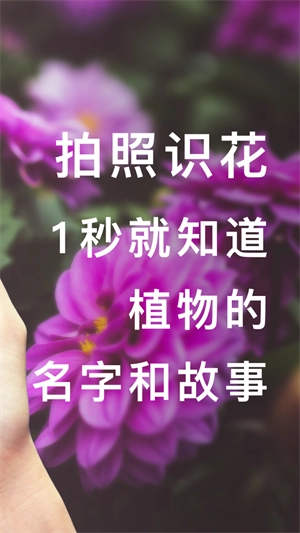 形色(2)