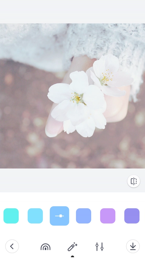 彩虹滤镜相机2025(3)