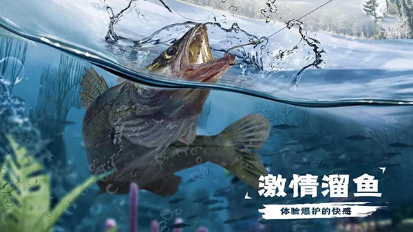 天天钓鱼最新版3