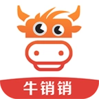 牛销销