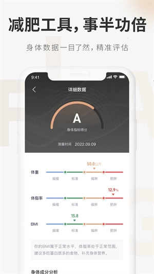 呼啦鸽-图3