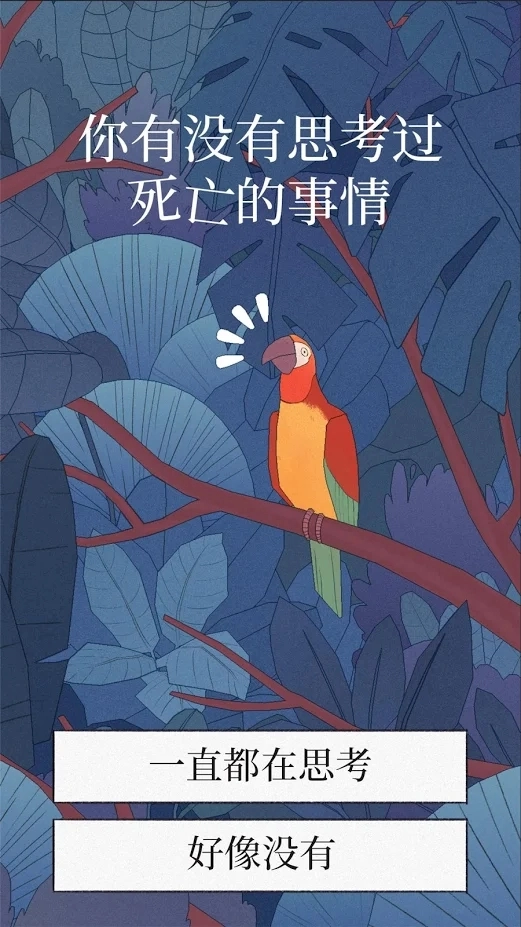 孤独的鸟儿安卓官方版图3