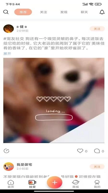 宠友社交最新版-图2