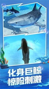 海底生存大猎杀中文版(2)