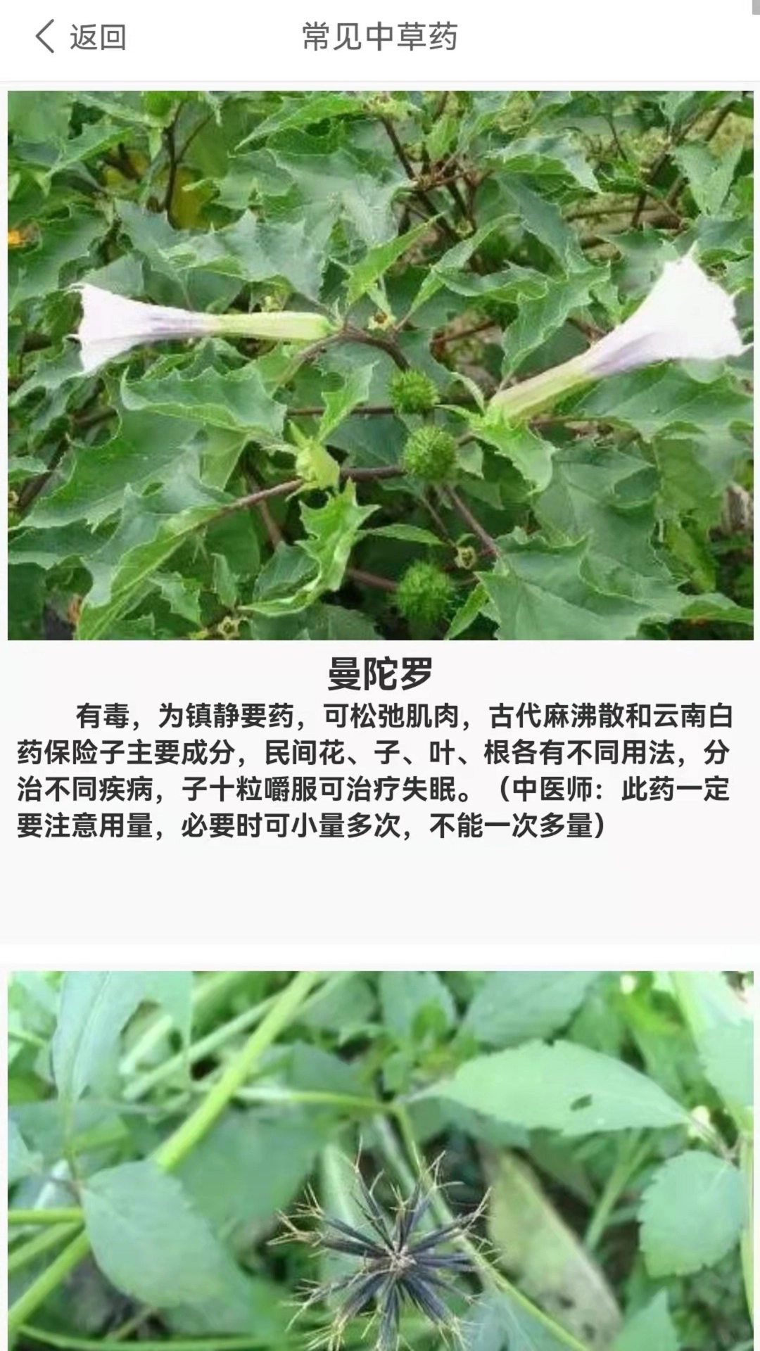 养生健康减肥(3)