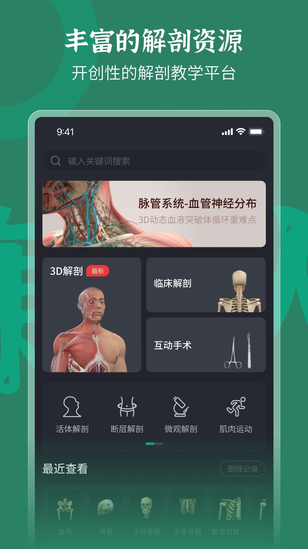 万康人体解剖图4