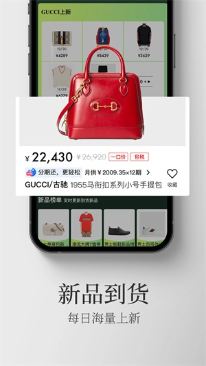 寺库奢侈品(3)