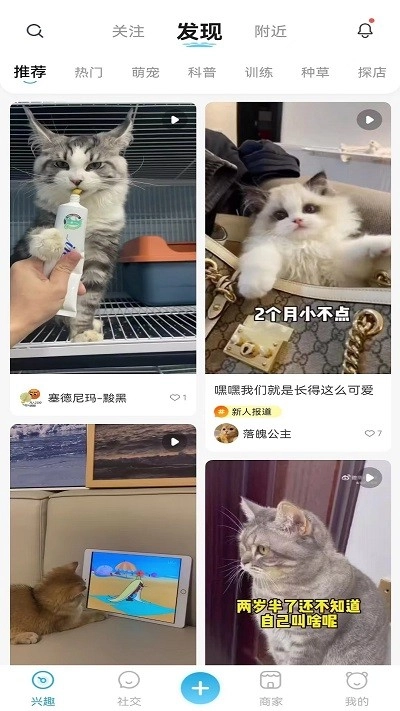 萌宠世界(1)