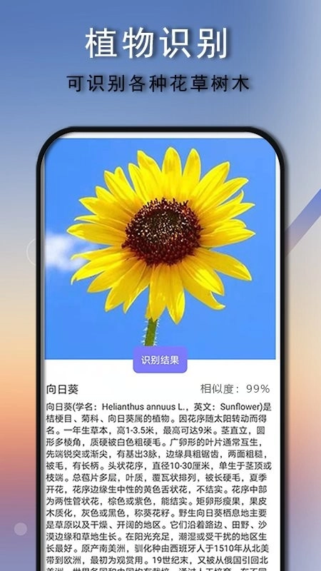 拍照识别王安卓版-图2