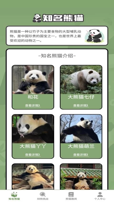 熊猫趣看图4