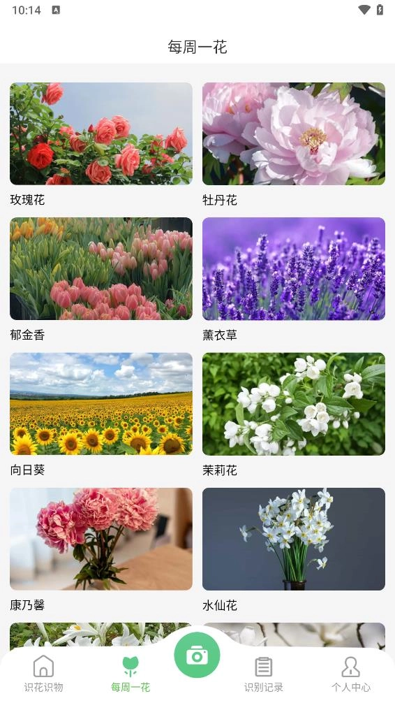 花卉识别图鉴(2)