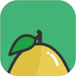 柚子记账安卓直装版