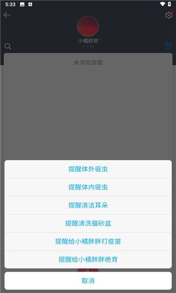 猫咪成长记图4