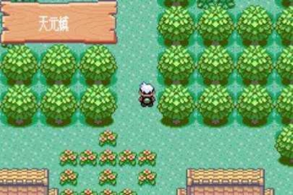 口袋妖怪模拟器官方正版图3