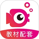 鲤鱼辅导免费版