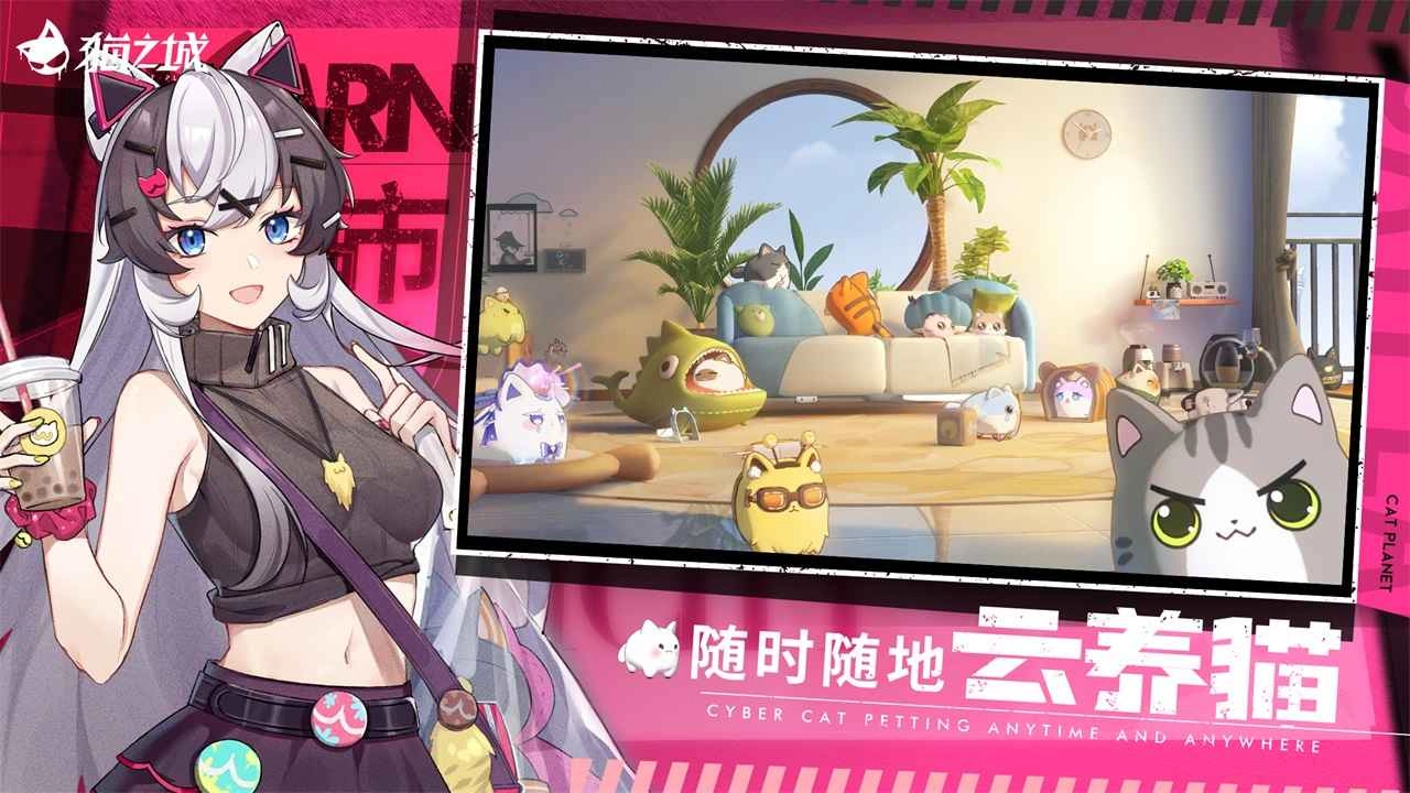 猫之城游戏最新版(5)