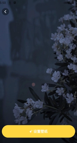 麦麦壁纸正版图2