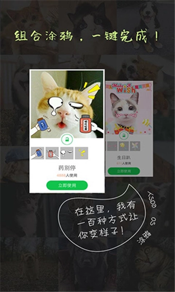 萌宠相机图4