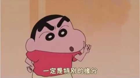 一定是特别的缘分才能认识你这头猪 图3