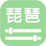 智能琵琶调音器