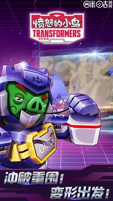 愤怒的小鸟：变形金刚