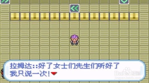 口袋妖怪火箭队中文版