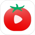 番茄视频