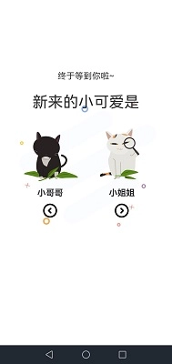 喵上二次元图2