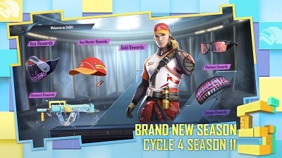 pubg国际服(3)