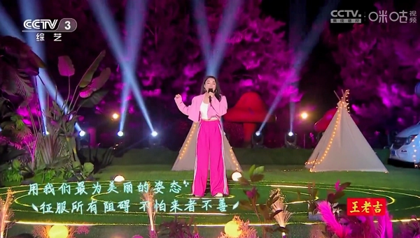 神鸟电视图3