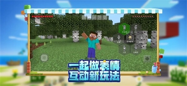 我的世界java版(4)
