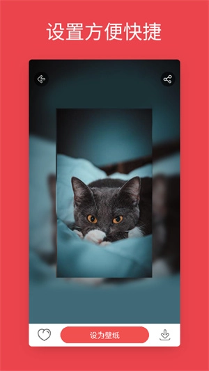 安卓动态壁纸免费版