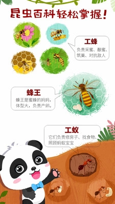 奇妙昆虫世界最新版图2