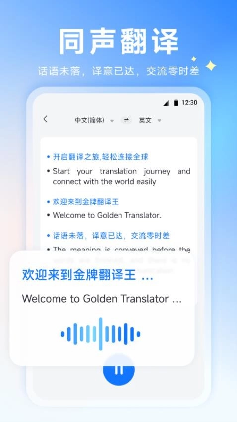 金牌翻译王图3