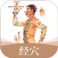 经络穴位标准指南