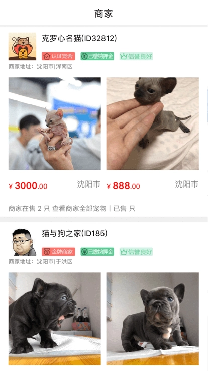 猫行狗市宠物交易市场图1
