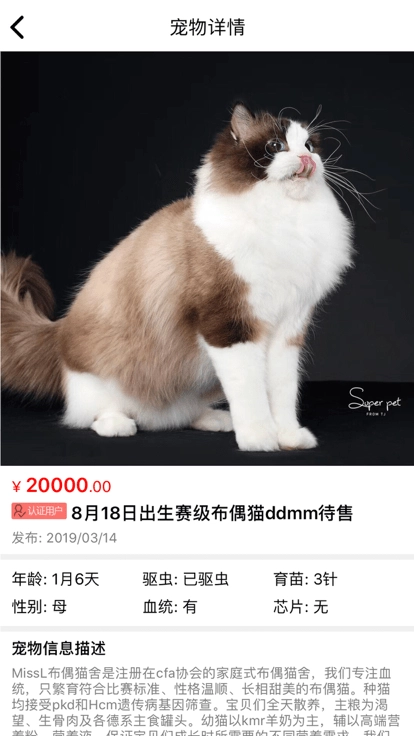 猫行狗市宠物交易市场图2