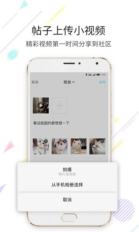 淮南查查网图1