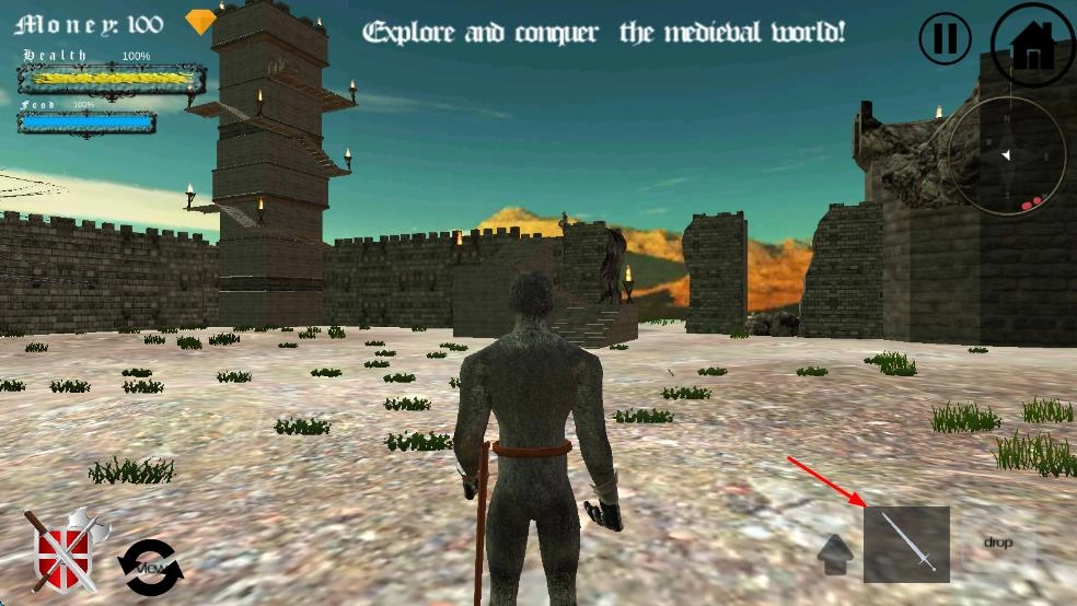 中世纪生存世界