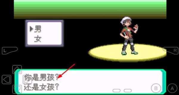 口袋妖怪究极绿宝石5图1