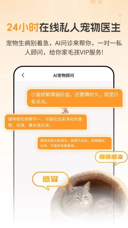 AI宠物问诊图3