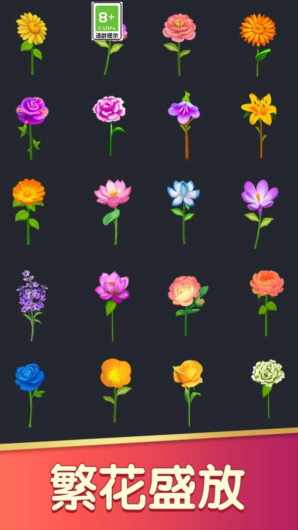 花朵拼拼(1)