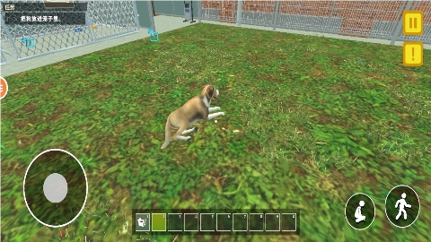 动物学校模拟(1)