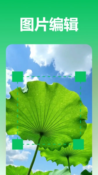 极光录音转文字图3