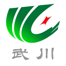 印象武川