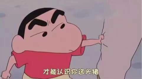 一定是特别的缘分才能认识你这头猪 图2