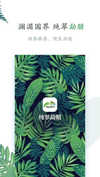 纯翠勐腊最新版图3