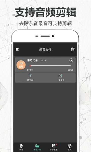 录音王手机版图2