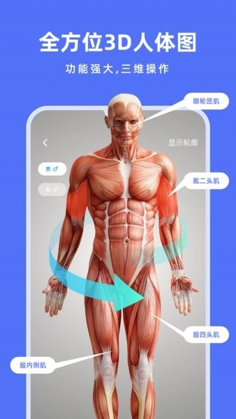 解剖学手机版-图4