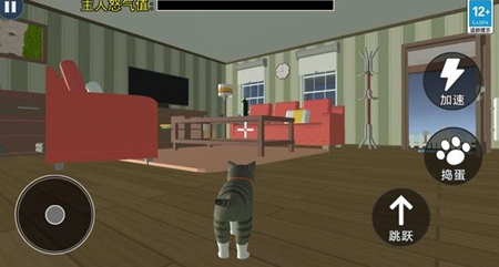 猫咪城市历险记